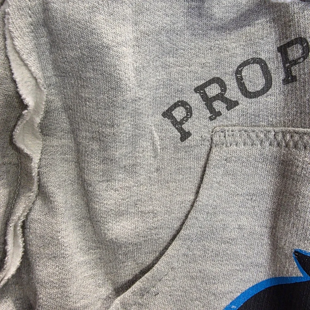 Littlearth Carolina Panthers Crossbody Bag Gray Sweatshirt Hoodie‎ Purse NFL - Picture 3 of 8